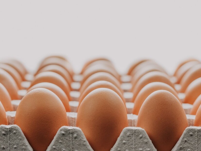 गोदाम सील करण्यात आलं आहे आणि ऑपरेटरविरुद्ध गुन्हा दाखल करण्यात आला आहे. या गोदामातून रंगीत अंडी कोणत्या दुकानांनी पुरवली हे देखील तपासात निश्चित केलं जाईल, जेणेकरून संपूर्ण पुरवठा साखळीचा शोध घेता येईल. (सर्व फोटो प्रतीकात्मक)