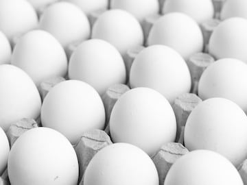 अंडं फ्रेश आहे की खराब, कसं ओळखायचं? भारतीय शेफने सांगितली सोपी ट्रिक अंडं फ्रेश आहे की खराब, कसं ओळखायचं? भारतीय शेफने सांगितली सोपी ट्रिक