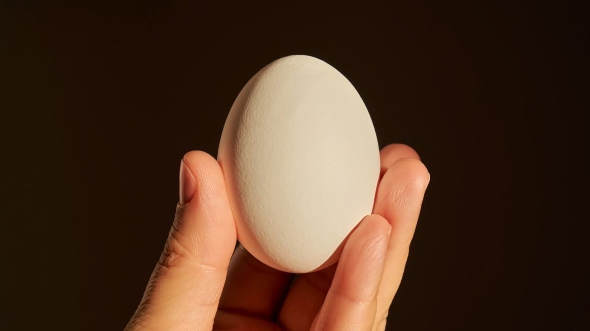 Kitchen Tips : अंडं फ्रेश आहे की खराब, कसं ओळखायचं? भारतीय शेफने सांगितली सोपी ट्रिक