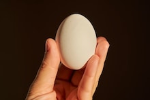 Kitchen Tips : अंडं फ्रेश आहे की खराब, कसं ओळखायचं? भारतीय शेफने सांगितली सोपी ट्रिक