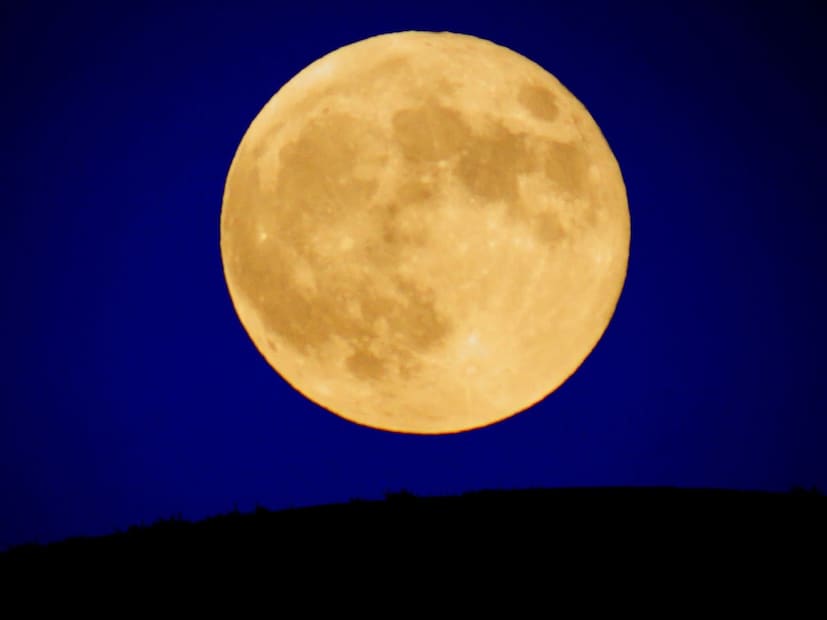  आजच्या 'सूपर मून'प्रमाणे पुढील सुपरमून पुढच्याच महिन्यात गुरूवार, ४ डिसेंबर रोजी दत्तजयंतीच्या रात्री दिसणार असल्याचं दा.कृ.सोमण यांनी सांगितले.