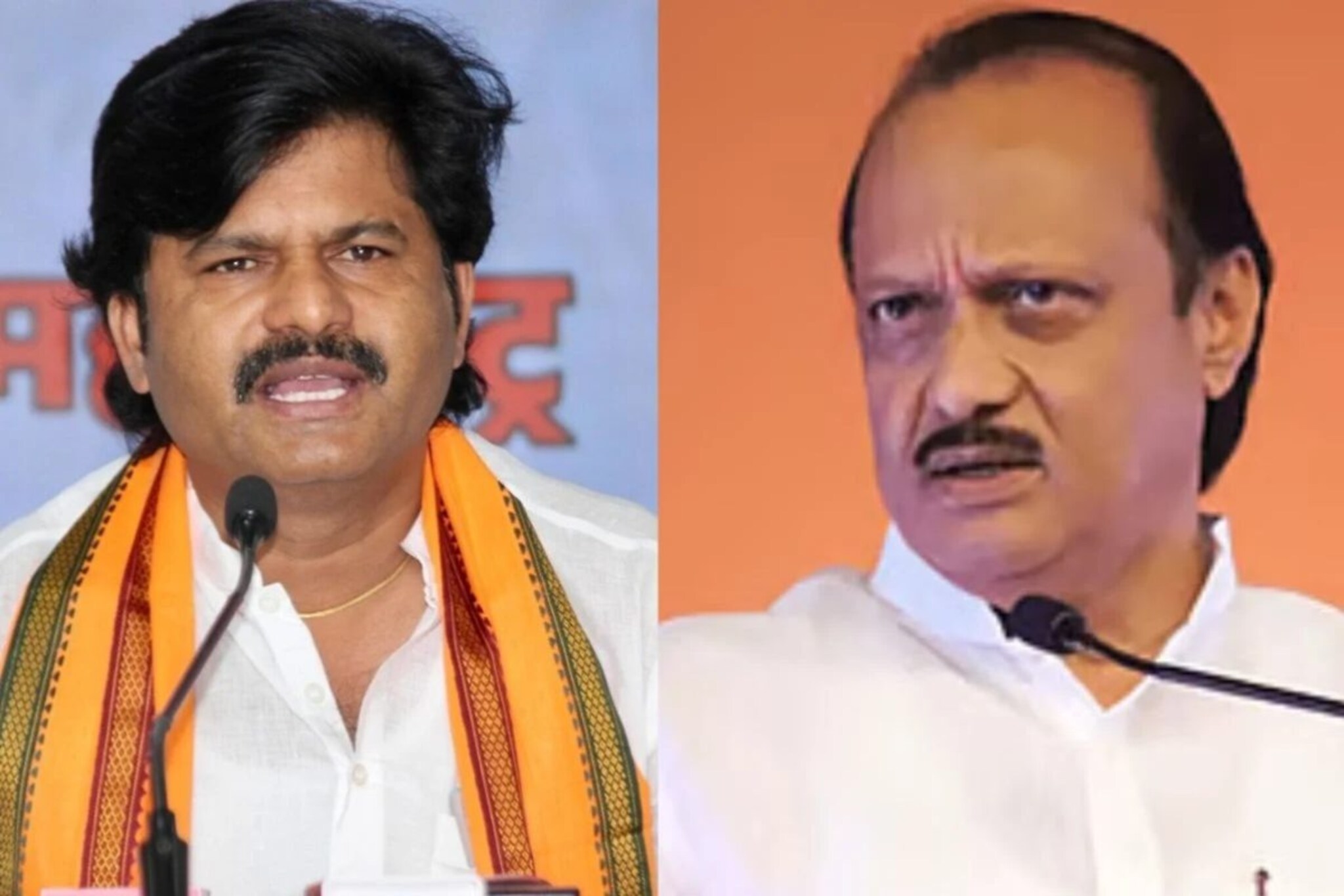 'तिजोरीच्या चाव्या तुमच्याकडे असल्या तरी मालक...',पडळकरांची अजित पवारांवर बोचरी