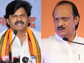 Gopichand Padlkar on Ajit Pawar