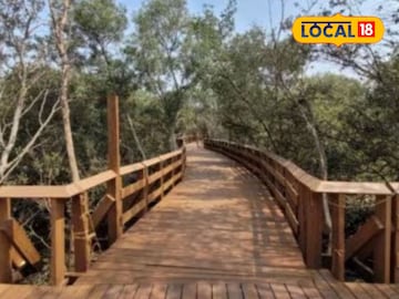 Gorai Mangrove Park Gorai Mangrove Park