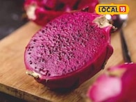 फॅट फ्री आणि भरपूर फायबर! Dragon fruit वजन कमी करण्यासाठी सर्वोत्तम