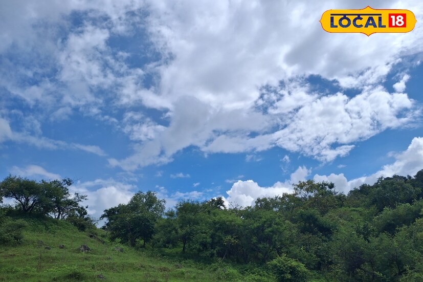 मागील 24 तासात सोलापूर जिल्ह्यात 32.4 अंश सेल्सिअस कमाल तापमानाची नोंद झाली. आज ढगाळ आकाशासह हलक्या पावसाचा अंदाज आहे. यावेळी पारा 33 अंशावर पोहचण्याचा अंदाज आहे. 