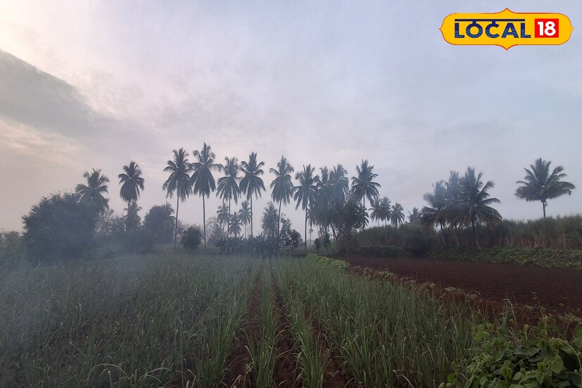 पुणे जिल्ह्यात शुक्रवारी 0.3 मिलिमीटर पावसाची तसेच 27.2 अंश सेल्सिअस कमाल तापमानाची नोंद झाली. आज पुणे जिल्ह्यात विजांसह हलक्या पावसाची शक्यता हवामान विभागाकडून वर्तवण्यात आली आहे. यावेळी कमाल तापमानाचा पारा 29 अंशावर राहिल.