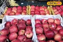 Afghan Apples: ‘पहलगाम’नंतर अफगाणी सफरचंद समुद्रमार्गे भारतात, पुण्यात दर किती?