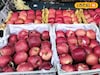 Afghan Apples: ‘पहलगाम’नंतर अफगाणी सफरचंद समुद्रमार्गे भारतात, पुण्यात दर किती?