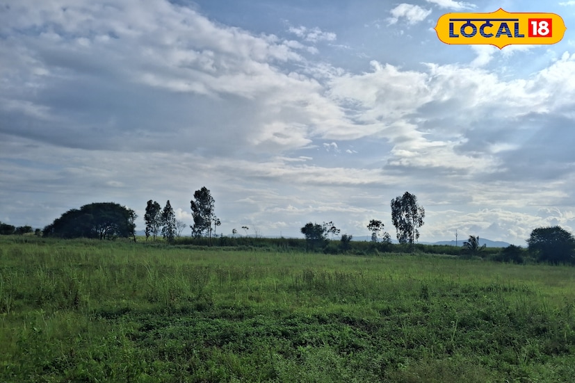 महाराष्ट्रावर आजपासून पाच दिवसांच्या कालावधीत हवेचे दाब 1010 हेप्टापास्कल इतके वाढतील. तसेच शुक्रवार व शनिवारी हवेच्या दाबात आणखी वाढ होऊन ते 1012 हेप्टापास्कल इतके होतील. थंडीत वाढ होण्यास सुरुवात होईल. बहुतांश काळ पावसात उघडीप राहील, मात्र काही वेळा हलक्या पावसाची शक्यता राहील.