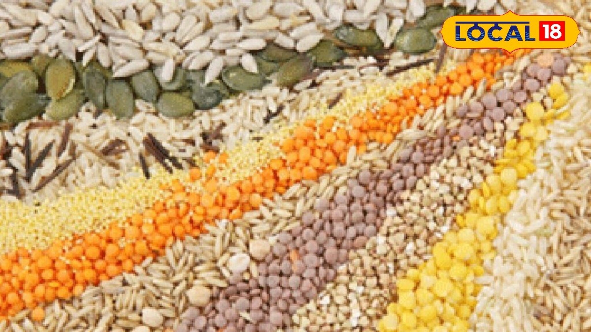 अतिवृष्टीचा फटका, पण रब्बी बियाण्यांनी दिला दिलासा, मिळणार सवलतीत ही बियाणे