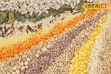 Agriculture News : अतिवृष्टीचा फटका, पण रब्बी बियाण्यांनी दिला दिलासा, शेतकऱ्यांना मिळणार सवलतीत ही बियाणे