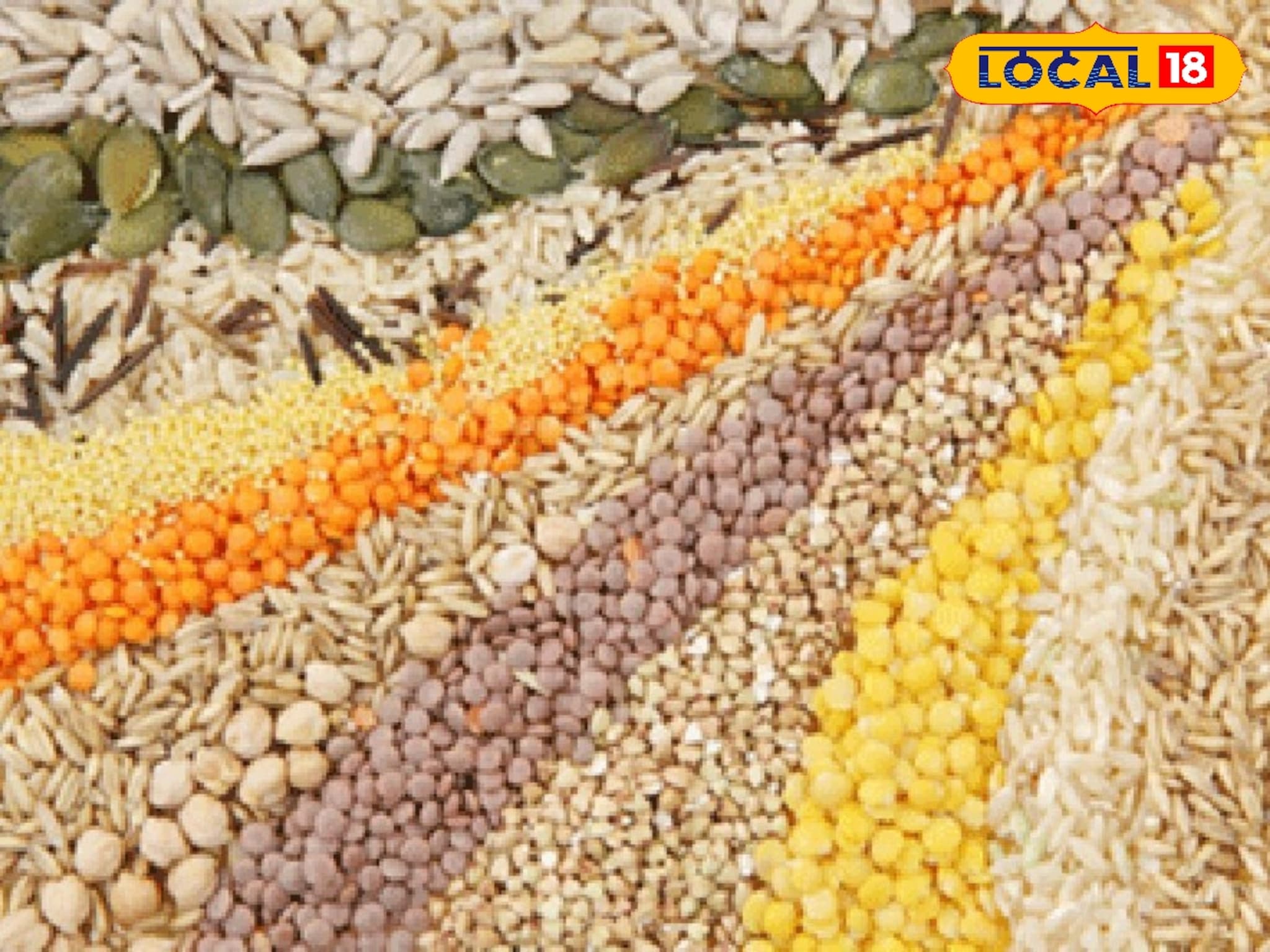 अतिवृष्टीचा फटका, पण रब्बी बियाण्यांनी दिला दिलासा, मिळणार सवलतीत ही बियाणे