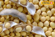 Krushi Market Rate Today: कांद्याची उच्चांकी आवक, मात्र दर घसरले; सोयाबीन आणि मक्याला दर किती?