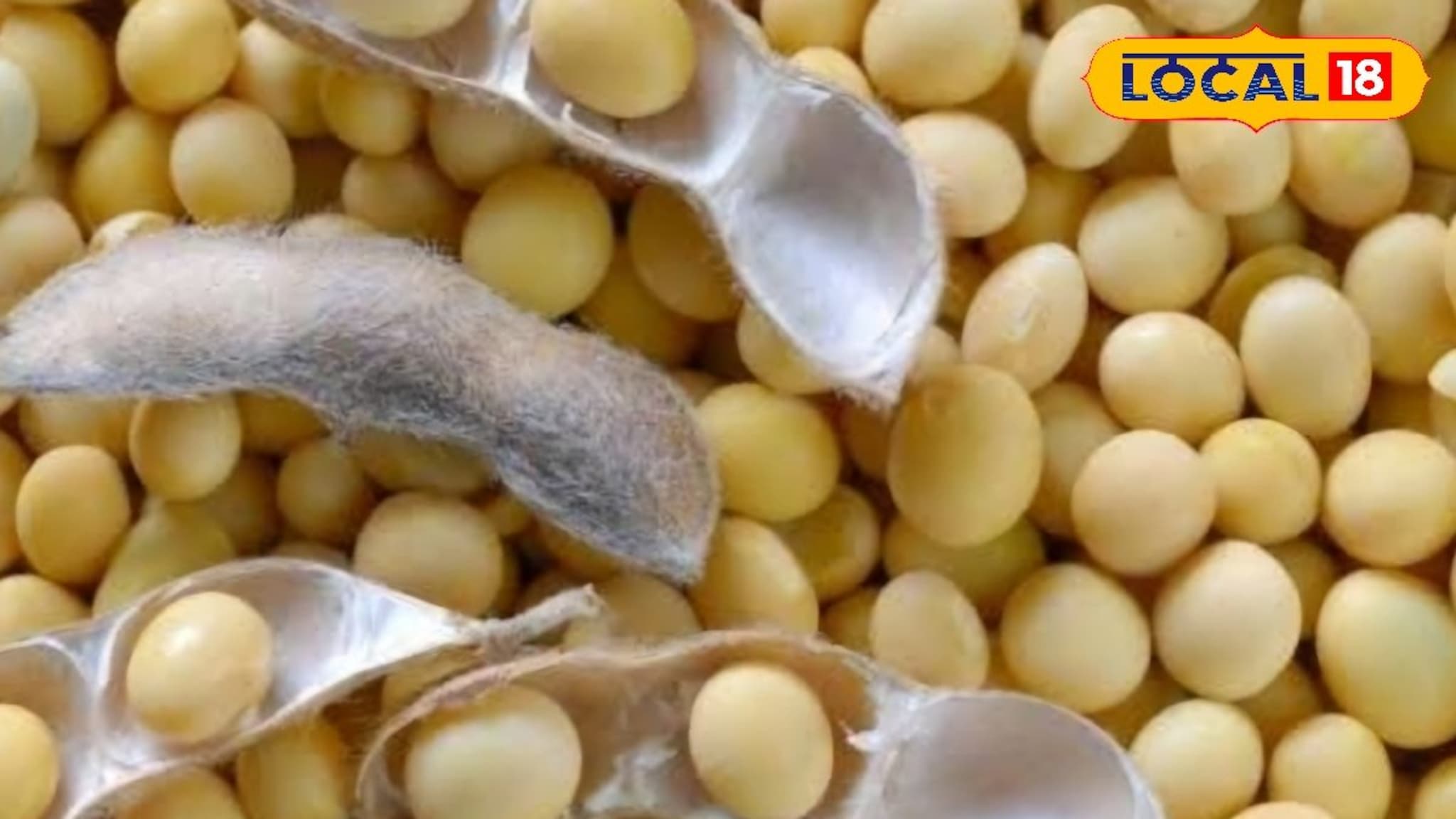 Krushi Market Today Rate: सोयाबीनने शेतकऱ्याला हसवलं, पण कांद्याने रडवलं; इतर शेतमालांचे दर काय?