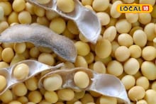 Krushi Market Today Rate: सोयाबीनने शेतकऱ्याला हसवलं, पण कांद्याने रडवलं; इतर शेतमालांचे दर काय?