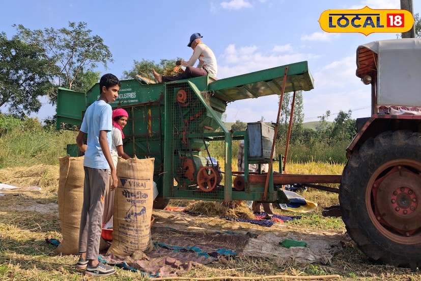 दरम्यान, पश्चिम महाराष्ट्रावर घोंघावणारं अवकाळी संकट पुढील 24 तासानंतर संपण्याची चिन्हे आहेत. हवामानात मोठे बदल जाणवत असून पावसाचा जोर ओसरत आहे. किमान आणि कमाल तापमानात घट होत असल्याने थंडीची चाहुल लागली आहे. वातावरणात गारवा वाढत आहे.