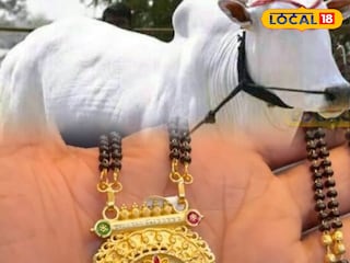 Animal News: 14 दिवस टेन्शन अन् 2 तासांचं ऑपरेशन, बैलाच्या पोटातून मंगळसूत्र बाहेर, छ. संभाजीनगरात काय घडलं? Animal News: 14 दिवस टेन्शन अन् 2 तासांचं ऑपरेशन, बैलाच्या पोटातून मंगळसूत्र बाहेर, छ. संभाजीनगरात काय घडलं?