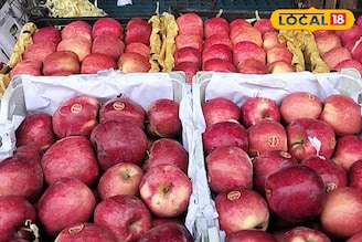 ‘पहलगाम’नंतर पाकचा रस्ता बंद, समुद्र मार्गानं अफगाणी सफरचंद पुण्यात, किलोचा भाव