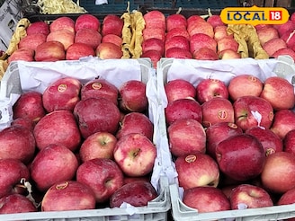 ‘पहलगाम’नंतर पाकचा रस्ता बंद, समुद्र मार्गानं अफगाणी सफरचंद पुण्यात, किलोचा भाव