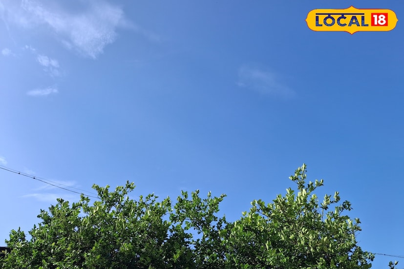 पुणे जिल्ह्यात गुरुवारी 30.7 कमाल आणि  18.5 अंश सेल्सिअस किमान तापमानाचा पारा नोंदविण्यात आला. आज पुणे जिल्ह्यातील कमाल तापमान 31 अंशावर तर किमान तापमान 18 अंशावर राहिल. यावेळी निरभ्र आकाश राहण्याची शक्यता हवामान विभागाकडून वर्तवण्यात आली आहे. 