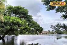 पश्चिम महाराष्ट्रात पुन्हा पाऊस, 24 तासात हवा बदलणार, हवामान विभागाचं अपडेट