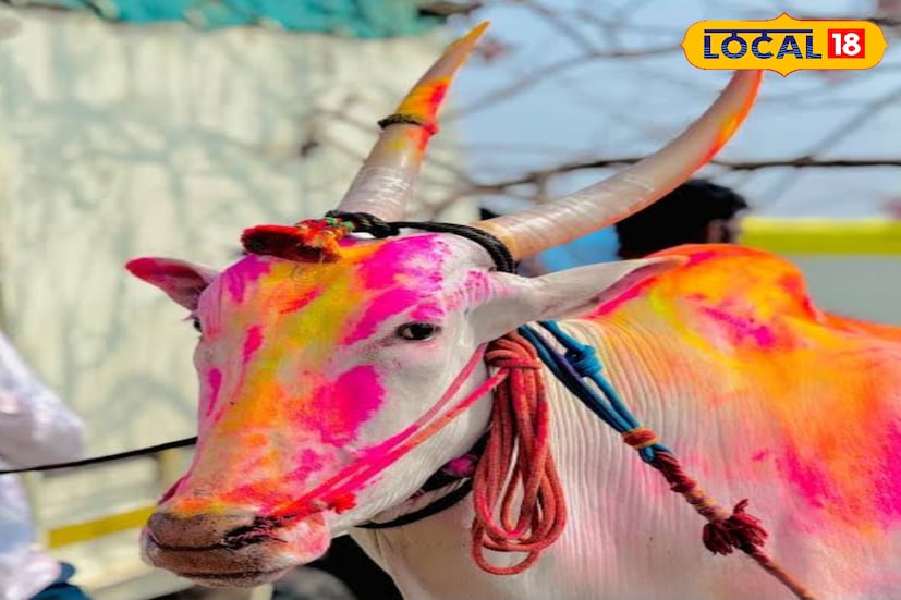 बैज्या तुफान पळतोय आणि हेलिकॉप्टरसारखा जातोय म्हणून तसं नाव पोरांनीच ठेवलं. एकानं नाव टाकलं आणि सगळ्यांनीच हेलिकॉप्टर बैज्या म्हणायला चालू केलं.