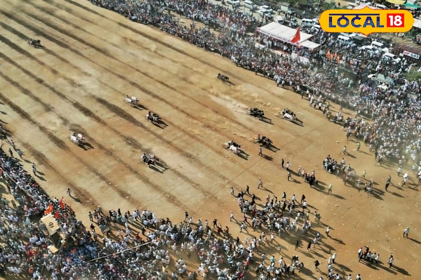 Sangli Bailgada Race