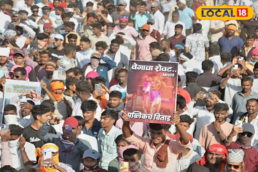 Sangli Bailgada Race