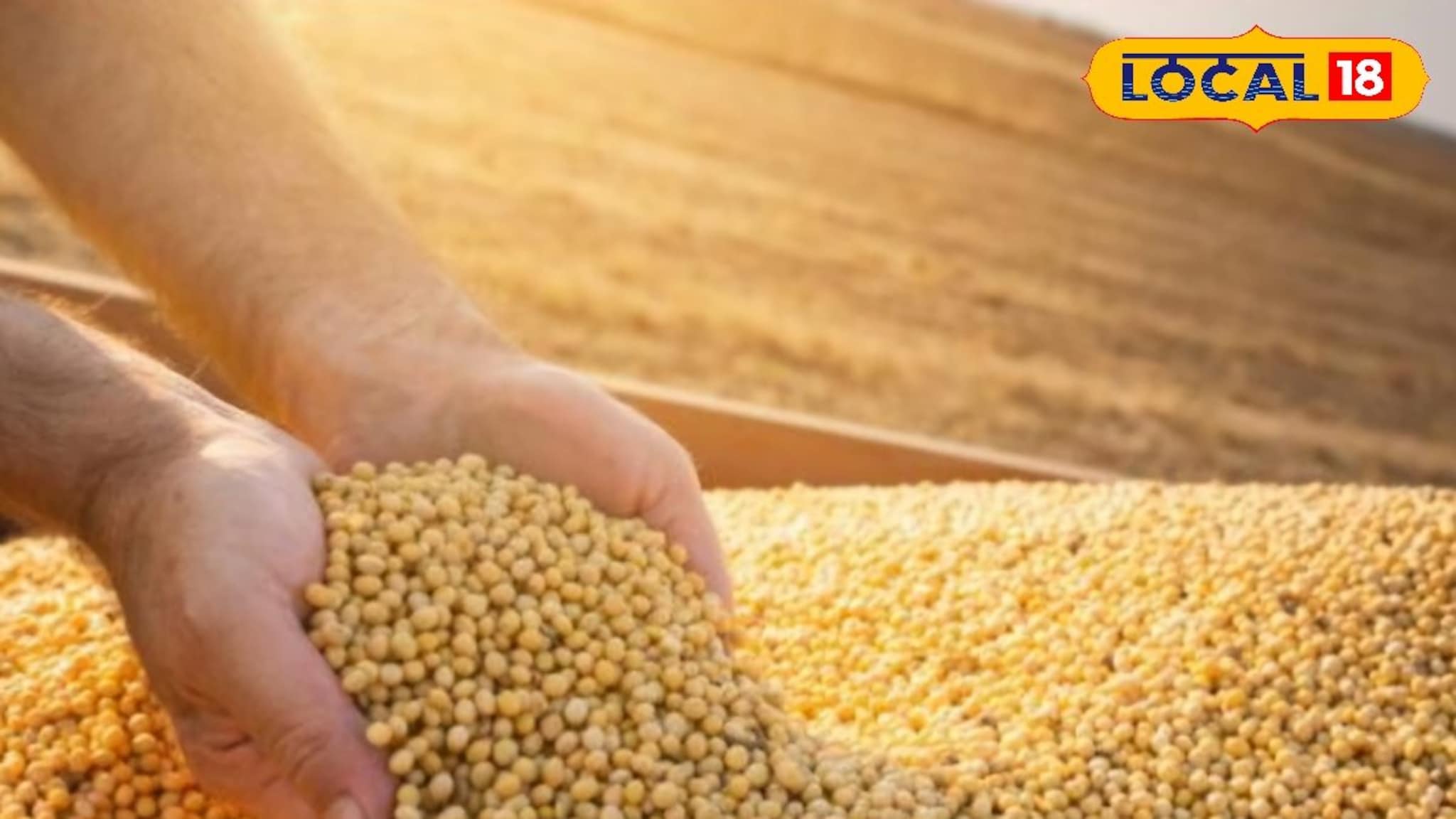 सोयाबीनने शेतकऱ्याला हसवलं, पण कांद्याने रडवलं; इतर शेतमालांचे दर काय?