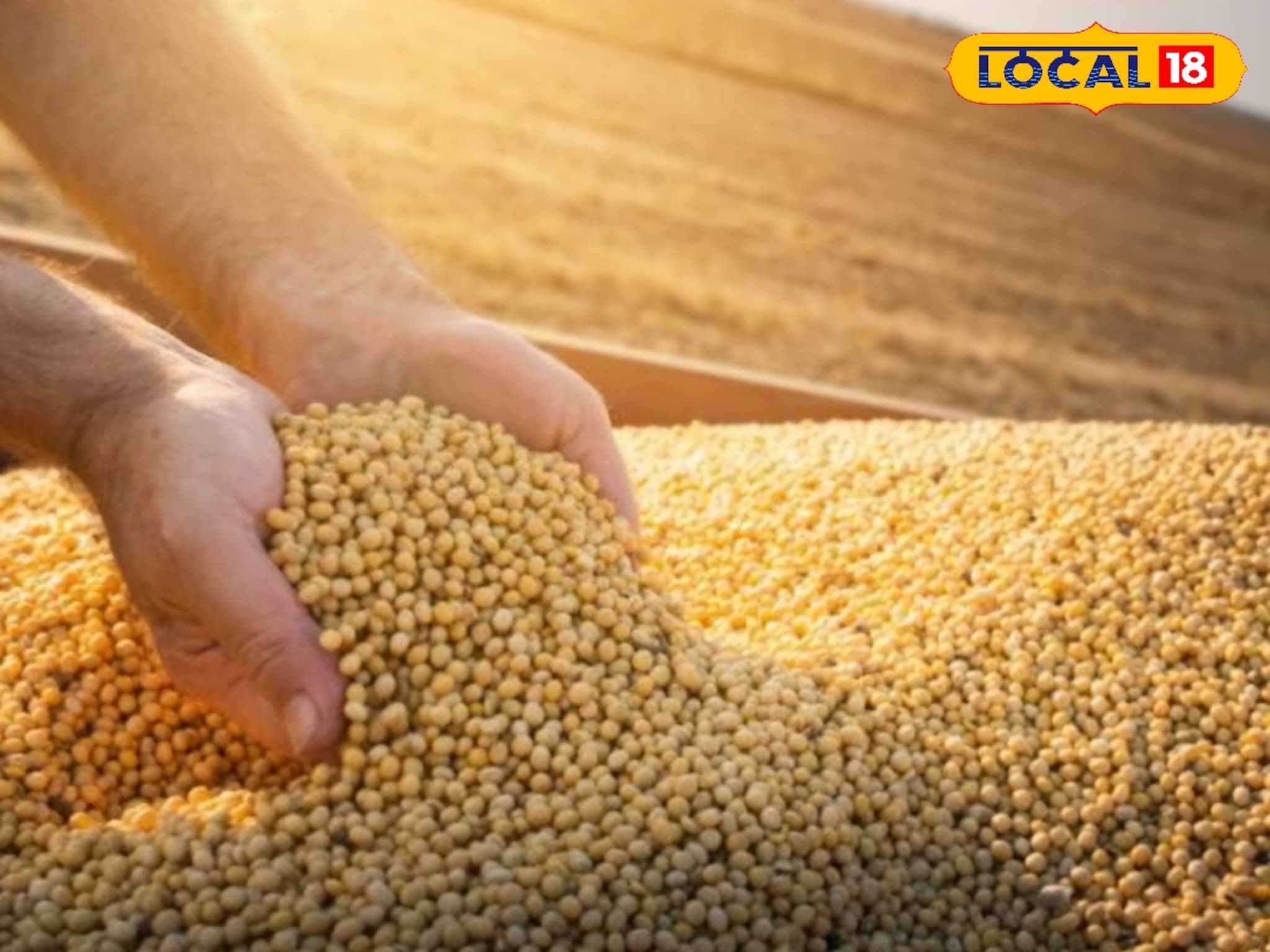 Krushi Market Today Rate: सोयाबीनने शेतकऱ्याला हसवलं, पण कांद्याने रडवलं; इतर शेतमालांचे दर काय?