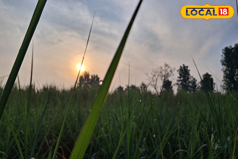 राज्यात गारठा वाढत असून, पहाटे धुक्यासह दव पडल्याचे चित्र कायम आहे. पश्चिम महाराष्ट्रातील काही जिल्ह्यांत किमान तापमानात चढ-उतार होत आहेत. मात्र थंडीचा कडाका कायम राहण्याची शक्यता हवामान विभागाने वर्तविली आहे. पहाटे थंडी, दुपारी कडक ऊन आणि रात्री परत गारठा जाणवत असल्याने नागरिकांनी आरोग्याची काळजी घ्यावी. 