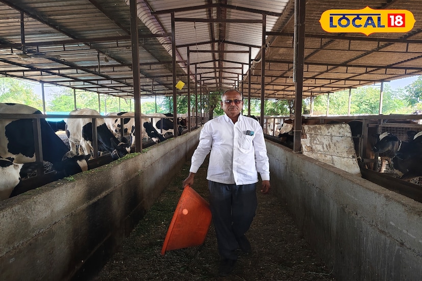 कमी जनावरांपासून सुरुवात करावी. गायपालन, शेळीपालन असो, या व्यवसायामध्ये सातत्य असणे महत्त्वाचे आहे. दुग्ध व्यवसायाकडे काळजीपूर्वक लक्ष देऊन काम केले तर तो नफा देणाराच आहे. विशेषतः प्रयत्न करावा की सर्व जनावरांचे खाद्य घरचे असावे. तसेच मुक्त गोठा पद्धत वापरली पाहिजे. सकाळी एक तास आणि संध्याकाळी एक तास जनावरांना दिल्यास त्यामध्ये चारा खायला देणे, पाणी देणे अशी कामे केली जातात आणि उर्वरित दिवसभराच्या वेळामध्ये शेतीतील सर्व कामे करता येतात.