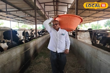 पारंपरिक शेतीला व्यवसायाची जोड, शेतकरी करतोय महिन्याला सव्वा लाख रुपये कमाई पारंपरिक शेतीला व्यवसायाची जोड, शेतकरी करतोय महिन्याला सव्वा लाख रुपये कमाई