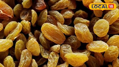 Currant Rate: बेदाणा बाजार हालला, सांगलीत उच्चांकी दर, हिरवा अन् पिवळ्या बेदाण्याचे दर काय?