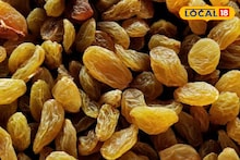 Currant Rate: बेदाणा बाजार हालला, सांगलीत उच्चांकी दर, हिरवा अन् पिवळ्या बेदाण्याचे भाव काय?