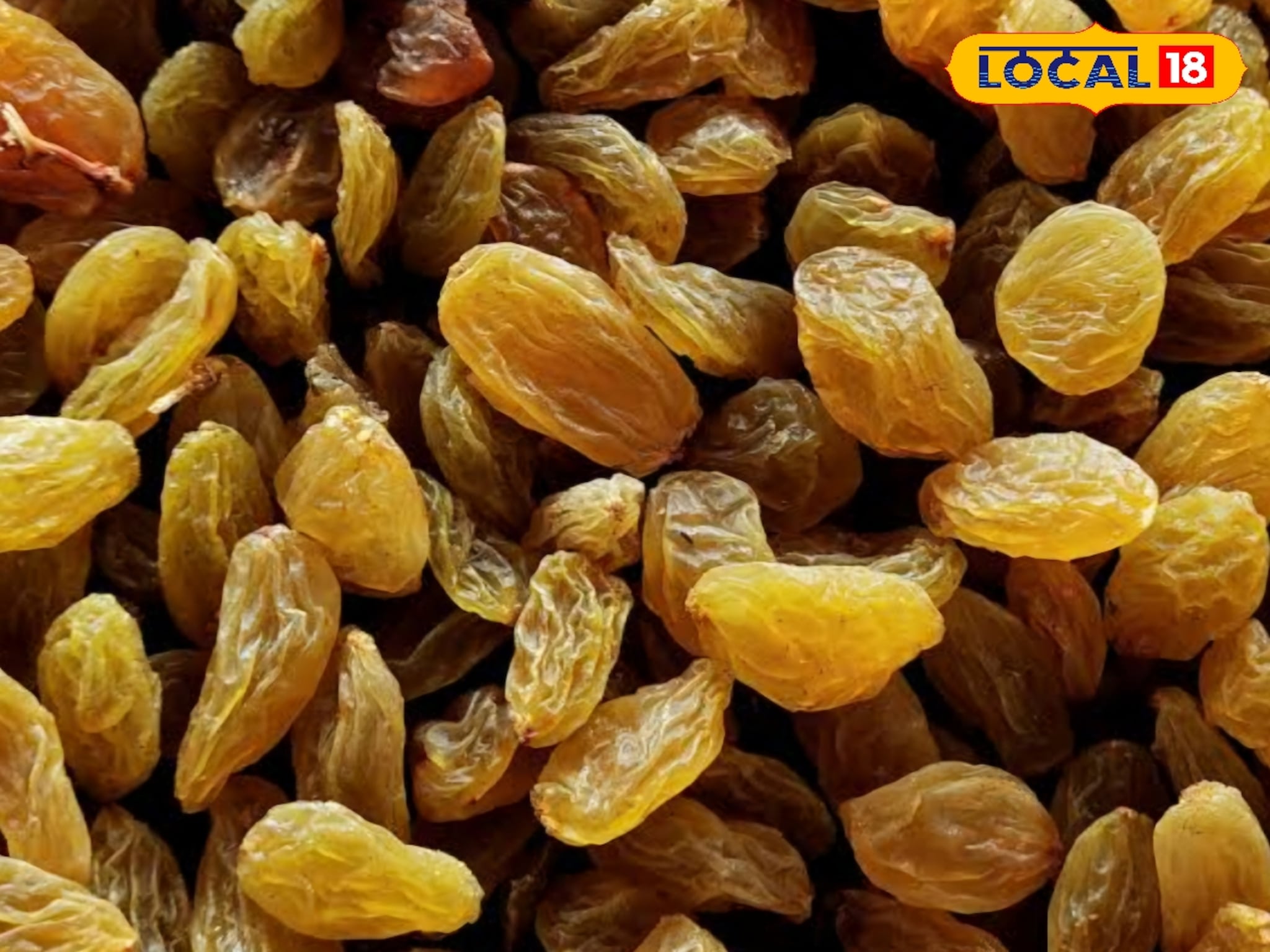 Currant Rate: बेदाणा बाजार हालला, सांगलीत उच्चांकी दर, हिरवा अन् पिवळ्या बेदाण्याचे भाव काय?