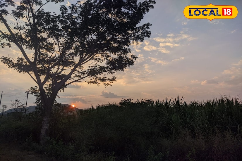 साताऱ्यात गारठा वाढत असून धुक्यासह दव पडत आहेत. बुधवारी साताऱ्यातील कमाल तापमानाचा पारा 30.7 अंशावर राहिला. तर 15 अंश सेल्सिअस किमान तापमान राहिले. आज सातारा जिल्ह्यात किमान आणि कमाल तापमानात अंशत वाढ होऊन 15 ते कमाल 32 अंश सेल्सिअस दरम्यान राहील.