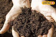 Agrcultre News : जमिनीची सुपीकता राहील चांगली, शेतकऱ्यांनो वेळीच करा माती परीक्षण, कृषी तज्ज्ञांचा महत्त्वाचा सल्ला