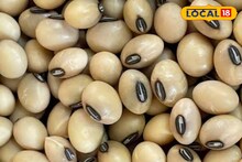 मक्याचे दर गडगडले, कांद्या आणि सोयाबीनची आज काय स्थिती? चेक करा एका क्लिकवर