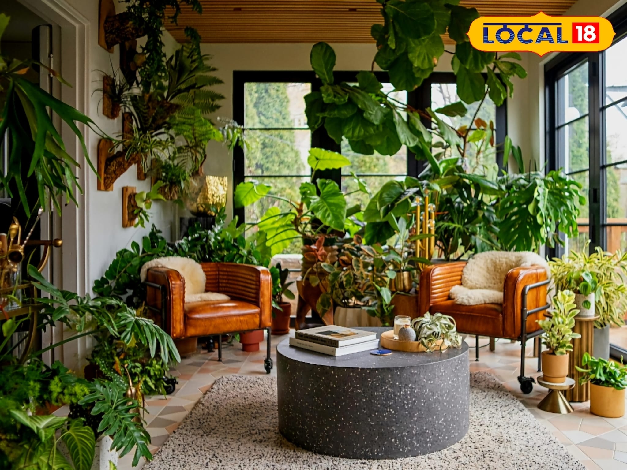 Winter Care Tips: हिवाळ्यात घरात थंडीला नो एंट्री, फक्त लावा ग्रीन हीटर, या वनस्पतींमुळे राहिल उबदार वातावरण