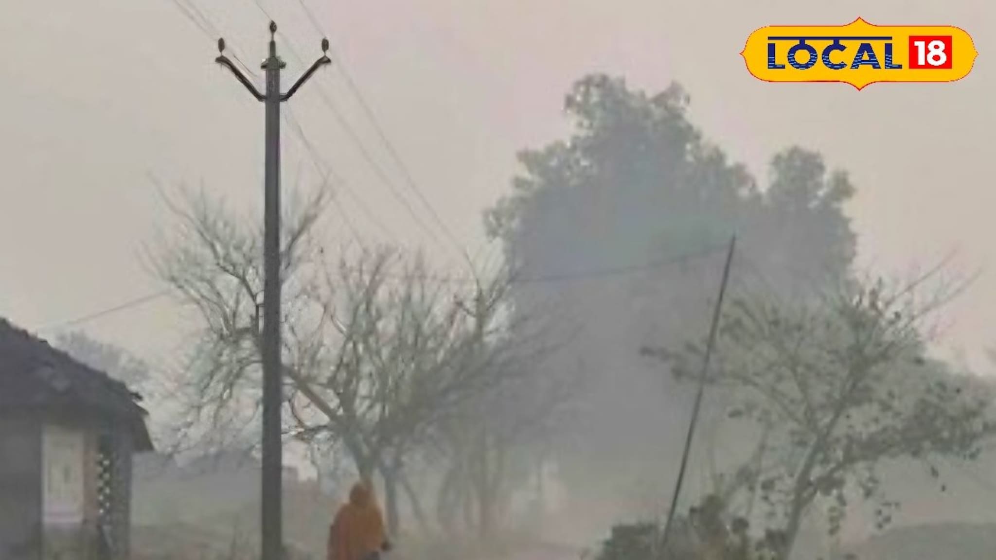 Weather Alert: थंडीची लाट! सोलापुरातील या ठिकाणी पारा घसरला, तापमान 9 अशांच्या खाली!
