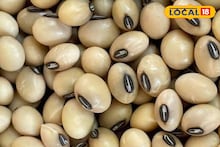 सोयाबीन दर पुन्हा घसरले, कांदा आणि मक्याची आज काय स्थिती? इथं चेक करा