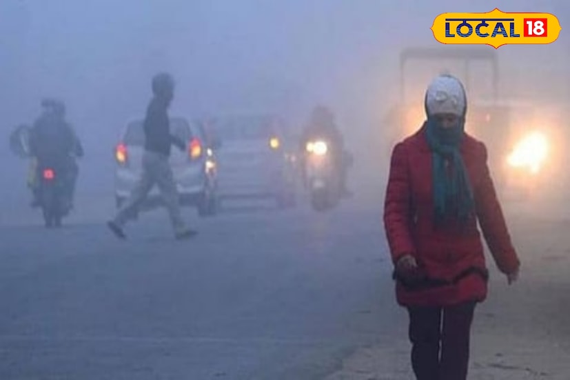 राज्यातील तापमानात सातत्याने घट होत आहे. पुढील काही दिवस उत्तर महाराष्ट्रासह मराठवाड्यातील तापमानात मोठी घट होणार आहे. 16 नोव्हेंबर रोजी हवामान विभागाकडून शीतलहरीचा इशारा देण्यात आला आहे. आज मराठवाड्यातील 6 जिल्ह्यांना 'येलो अलर्ट' जारी करण्यात आला. त्यामुळे या भागात थंडीची लाट जाणवण्याची शक्यता आहे. मराठवाड्यातील आठही जिल्ह्यांमध्ये 16 नोव्हेंबर रोजी हवामान कसं राहील याबद्दल सविस्तर माहिती जाणून घेऊ. राज्यातील तापमानात सातत्याने घट होत आहे. पुढील काही दिवस उत्तर महाराष्ट्रासह मराठवाड्यातील तापमानात मोठी घट होणार आहे. 16 नोव्हेंबर रोजी हवामान विभागाकडून शीतलहरीचा इशारा देण्यात आला आहे. आज मराठवाड्यातील 6 जिल्ह्यांना 'येलो अलर्ट' जारी करण्यात आला. त्यामुळे या भागात थंडीची लाट जाणवण्याची शक्यता आहे. मराठवाड्यातील आठही जिल्ह्यांमध्ये 16 नोव्हेंबर रोजी हवामान कसं राहील याबद्दल सविस्तर माहिती जाणून घेऊ.