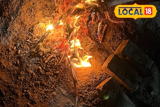 मुंबईसह राज्यातील 11 जिल्ह्यात थंडीची लाट कायम, यादीत तुमचाही जिल्हा आहे का?