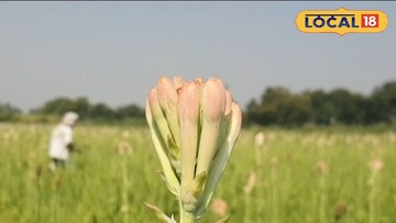 पहिल्यांदाच