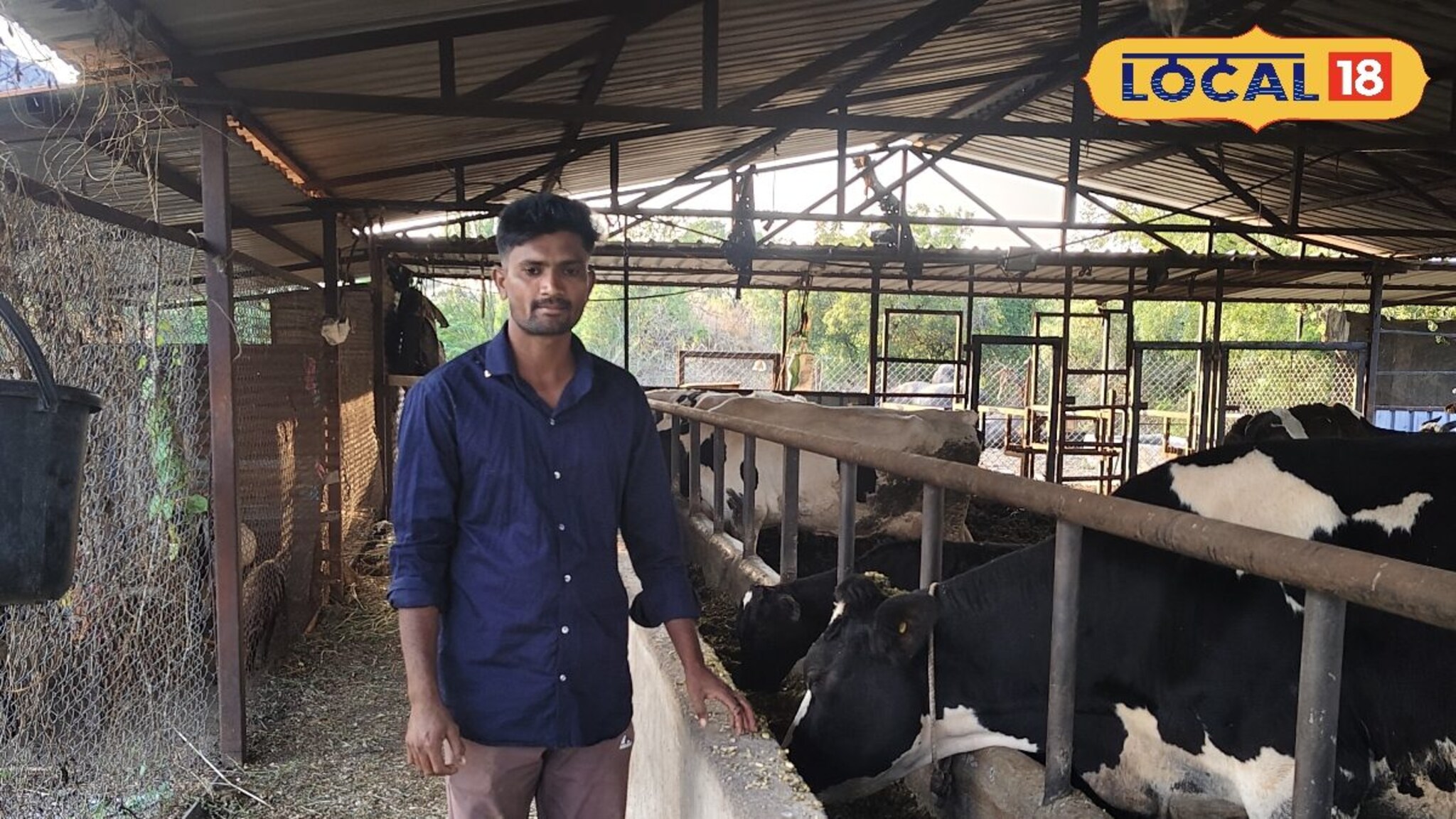 Success Story : शेतीला निवडला जोड व्यवसाय, तरुण शेतकरी करतोय दूध विक्री, महिन्याला 1 लाखांची उलाढाल