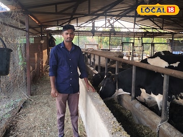 गाईंपासून