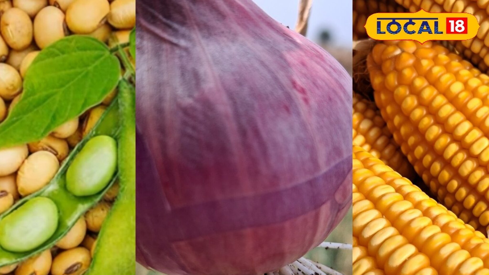 Krushi Market Rate: कांद्याचे दर पुन्हा ढासळले, सोयाबीनला सर्वाधिक दर; इतर शेतमालांची स्थिती काय?