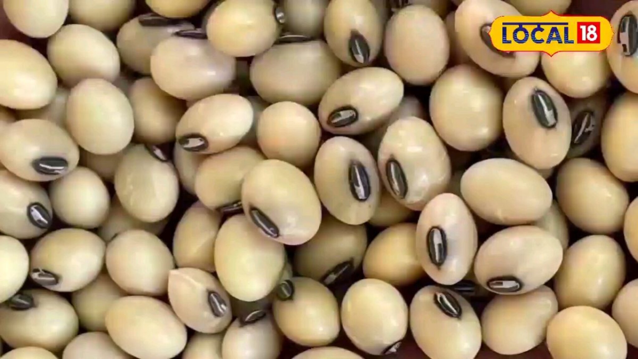 मक्याचे दर गडगडले, सोयाबीनच्या दरात पुन्हा वाढ, कांद्याची आज काय स्थिती? Video